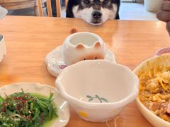 -柴の食堂·日式家庭料理·熊之肆(大学路店)