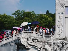 -观潮胜地公园