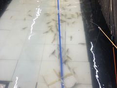 -小象钓虾·营地烧烤(洛溪店)