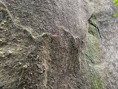 -火炉山森林公园