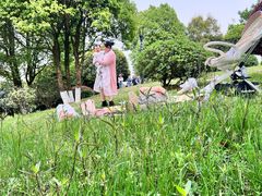 -铁山坪森林公园