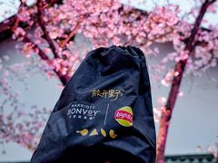 -无锡富力喜来登酒店