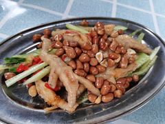 -石岐乳鸽村(桥观坊南四巷店)