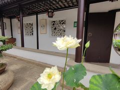 -南园(太仓市)
