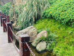 -重庆彩云湖湿地公园
