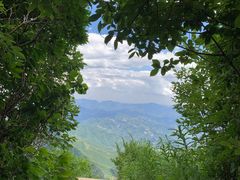 -白草畔自然风景区