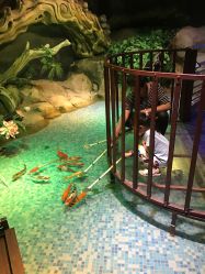 -酷嗒动物文化乐园(cutezoo西溪乐天城店)