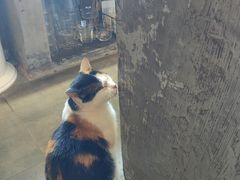 -转山咖啡(松柏社区店)