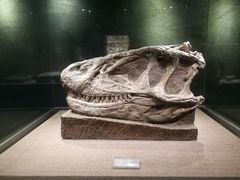 -自贡恐龙博物馆