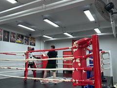 -TFC 纯泰拳馆MuayThai