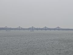 -城市阳台