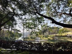 -仙岳公园