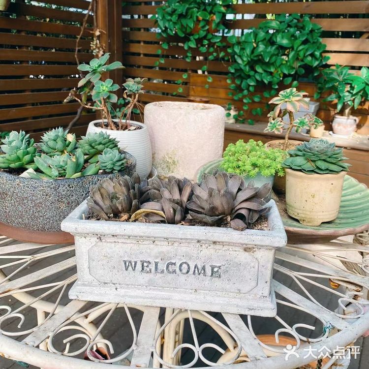 超值的月子之旅‼️‼️