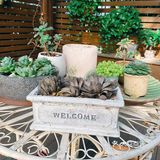 超值的月子之旅‼️‼️