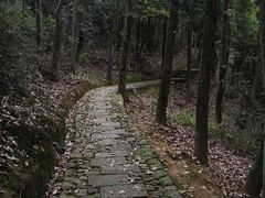 -梦姑塘文化公园