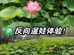 -迎泽公园