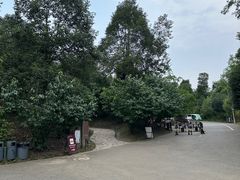 -都江堰中华大熊猫苑