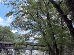 -鹿亭中村