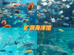 -长鹿旅游休博园