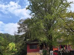 -佛荫寺