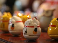 -猫咪博物馆(顶澳仔猫街店)