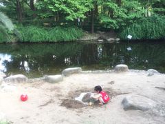 -苏州河梦清园环保主题公园