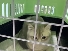 -嘉馨宠物医院·CT影像转诊·心脏科·犬猫全科诊疗中心(下沙大学城院区)