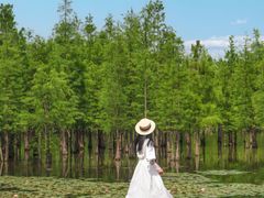 -白鹭湾湿地公园