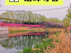 -大望京公园