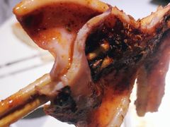 -李军力烧烤(电厂路农业路店)