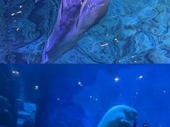-郑州海洋馆