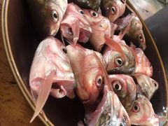 -章记正宗南岗鱼蛋火锅