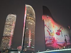-演武大桥观景平台