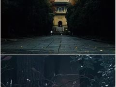 -灵谷景区