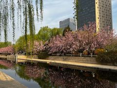 -元大都城垣遗址公园