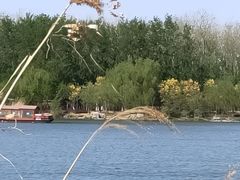 -马家湾湿地公园