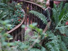 -正佳雨林生态植物园