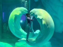 -上海海昌海洋公园