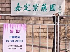 -嘉定紫藤园