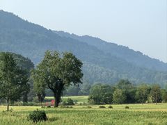 -塔川景区