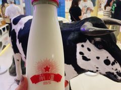 -红星前进面包牛奶公司(君太店)