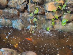 -一桶江山餐厅(松北店)