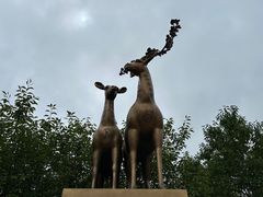 -石岛赤山风景区