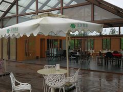 -桤木河湿地公园