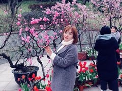-南山植物园