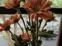 -花满楼(启秀路店)