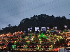 -枇杷园食为鲜火锅(南山店)