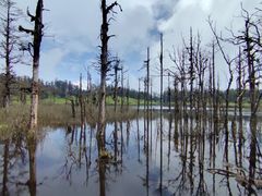-眉山湿地公园(东坡区)