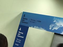 -谢列梅捷沃国际机场