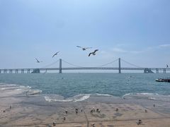 -星海广场